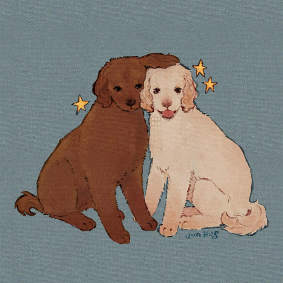 Sillies
