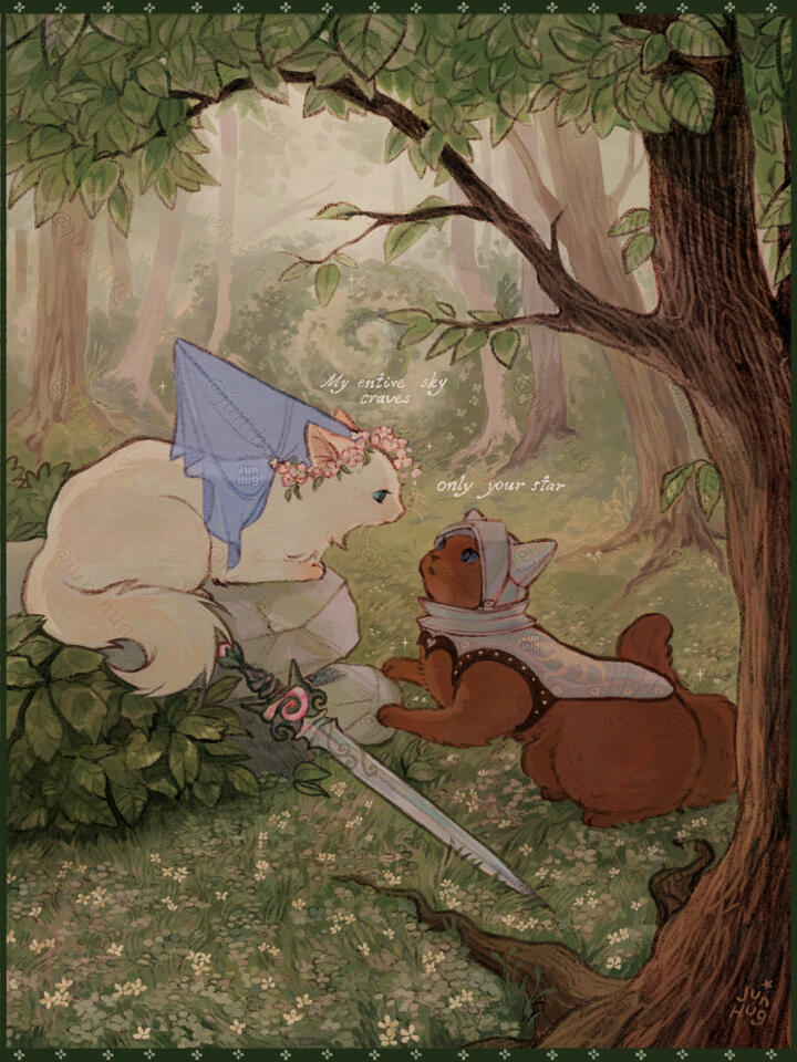The Princess and The Knight